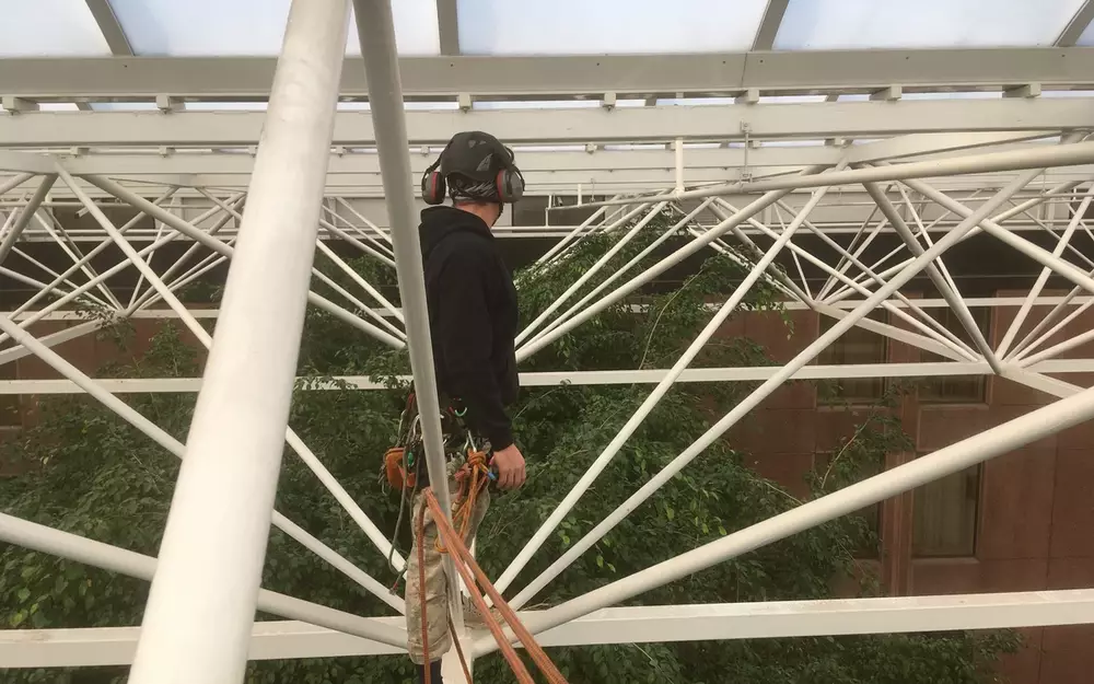 Tree Lighting Services
